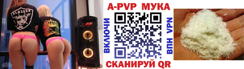 A PVP СК КРИС Елабуга