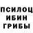 Галлюциногенные грибы мухоморы antonio giovannini