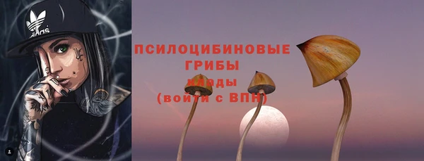 ECSTASY Навашино