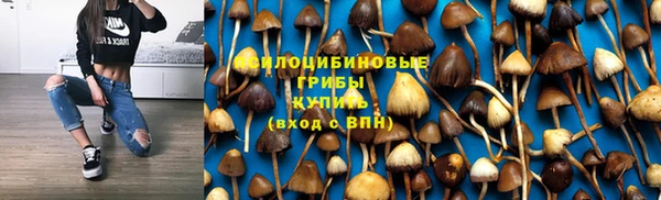 ALPHA PVP Надым