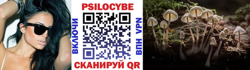 Псилоцибиновые грибы GOLDEN TEACHER Елабуга