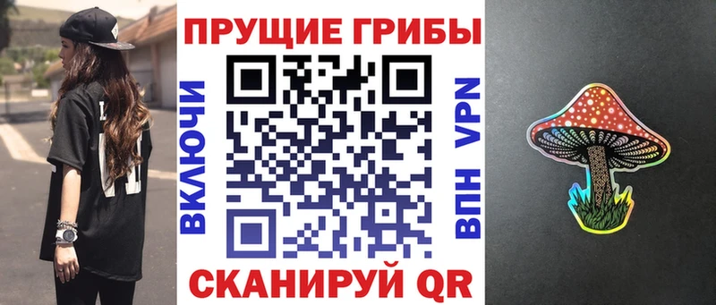 купить наркотики сайты Елабуга Галлюциногенные грибы мицелий
