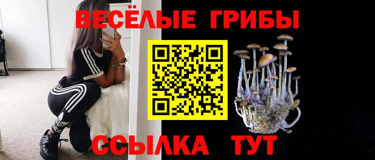 Псилоцибиновые грибы мухоморы Елабуга