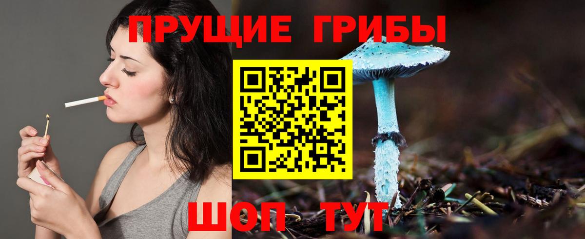 Галлюциногенные грибы Cubensis  Елабуга 